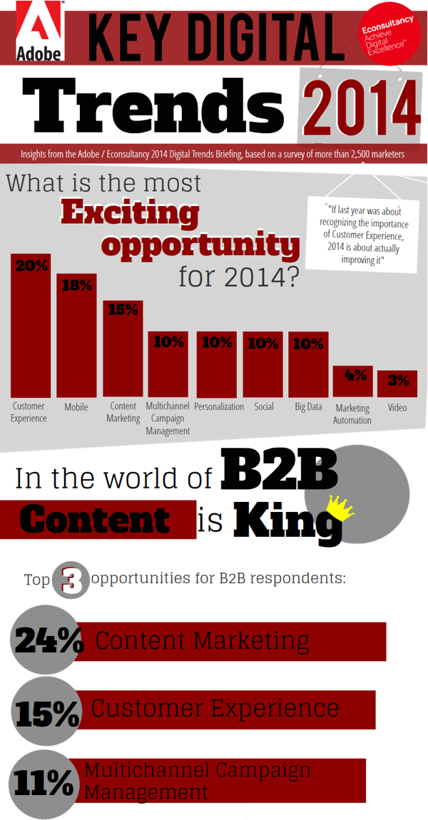 Digital Marketing 2014 Infographic s1