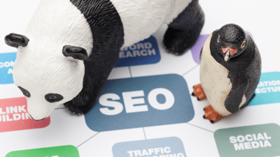 google updates for SEO