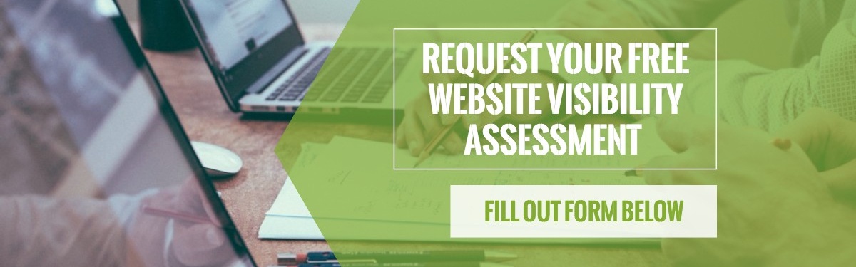 Website Visibility Assessment